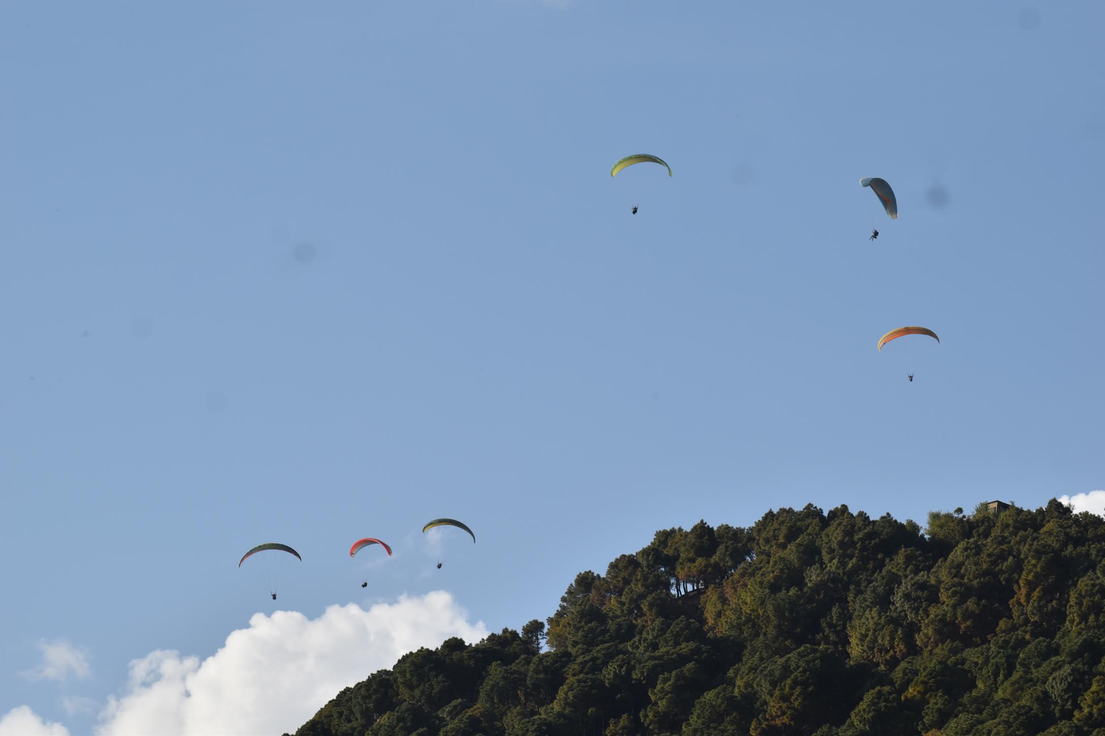 paragliding in Dharamshala
